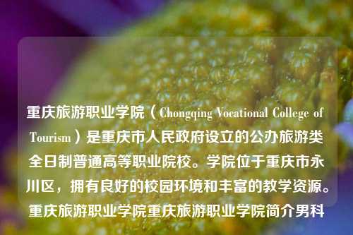 重庆旅游职业学院（Chongqing Vocational College of Tourism）是重庆市人民政府设立的公办旅游类全日制普通高等职业院校。学院位于重庆市永川区，拥有良好的校园环境和丰富的教学资源。重庆旅游职业学院重庆旅游职业学院简介男科