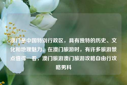 澳门是中国特别行政区，具有独特的历史、文化和地理魅力。在澳门旅游时，有许多旅游景点值得一看，澳门旅游澳门旅游攻略自由行攻略男科