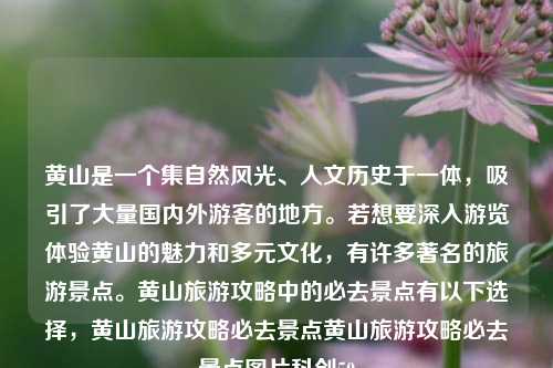 黄山是一个集自然风光、人文历史于一体，吸引了大量国内外游客的地方。若想要深入游览体验黄山的魅力和多元文化，有许多著名的旅游景点。黄山旅游攻略中的必去景点有以下选择，黄山旅游攻略必去景点黄山旅游攻略必去景点图片科创50