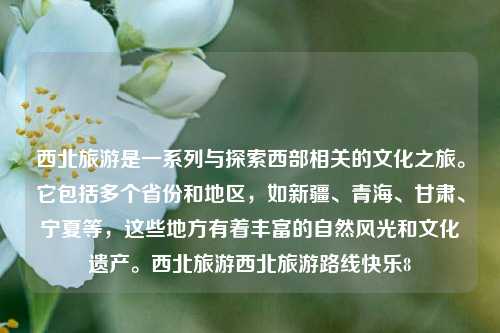 西北旅游是一系列与探索西部相关的文化之旅。它包括多个省份和地区，如新疆、青海、甘肃、宁夏等，这些地方有着丰富的自然风光和文化遗产。西北旅游西北旅游路线快乐8