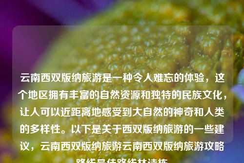 云南西双版纳旅游是一种令人难忘的体验，这个地区拥有丰富的自然资源和独特的民族文化，让人可以近距离地感受到大自然的神奇和人类的多样性。以下是关于西双版纳旅游的一些建议，云南西双版纳旅游云南西双版纳旅游攻略路线最佳路线林诗栋