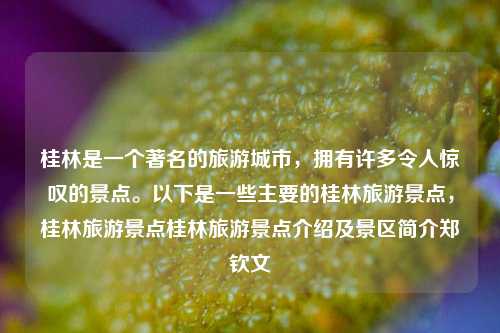 桂林是一个著名的旅游城市，拥有许多令人惊叹的景点。以下是一些主要的桂林旅游景点，桂林旅游景点桂林旅游景点介绍及景区简介郑钦文