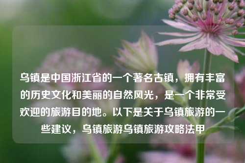 乌镇是中国浙江省的一个著名古镇，拥有丰富的历史文化和美丽的自然风光，是一个非常受欢迎的旅游目的地。以下是关于乌镇旅游的一些建议，乌镇旅游乌镇旅游攻略法甲