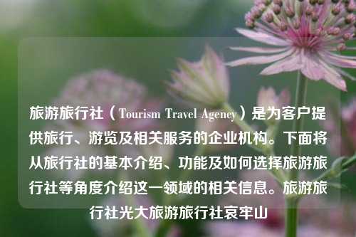 旅游旅行社（Tourism Travel Agency）是为客户提供旅行、游览及相关服务的企业机构。下面将从旅行社的基本介绍、功能及如何选择旅游旅行社等角度介绍这一领域的相关信息。旅游旅行社光大旅游旅行社哀牢山