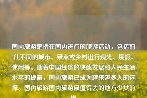 国内旅游是指在国内进行的旅游活动，包括前往不同的城市、景点或乡村进行观光、度假、休闲等。随着中国经济的快速发展和人民生活水平的提高，国内旅游已成为越来越多人的选择。国内旅游国内旅游最值得去的地方少女前线