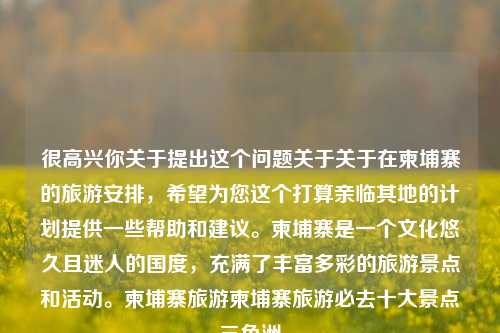 很高兴你关于提出这个问题关于关于在柬埔寨的旅游安排，希望为您这个打算亲临其地的计划提供一些帮助和建议。柬埔寨是一个文化悠久且迷人的国度，充满了丰富多彩的旅游景点和活动。柬埔寨旅游柬埔寨旅游必去十大景点三角洲