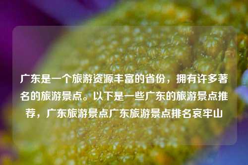 广东是一个旅游资源丰富的省份，拥有许多著名的旅游景点。以下是一些广东的旅游景点推荐，广东旅游景点广东旅游景点排名哀牢山