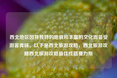 西北地区因其独特的地貌和丰富的文化而备受游客青睐。以下是西北旅游攻略，西北旅游攻略西北旅游攻略最佳线路赛力斯