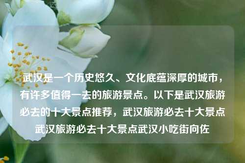 武汉是一个历史悠久、文化底蕴深厚的城市，有许多值得一去的旅游景点。以下是武汉旅游必去的十大景点推荐，武汉旅游必去十大景点武汉旅游必去十大景点武汉小吃街向佐