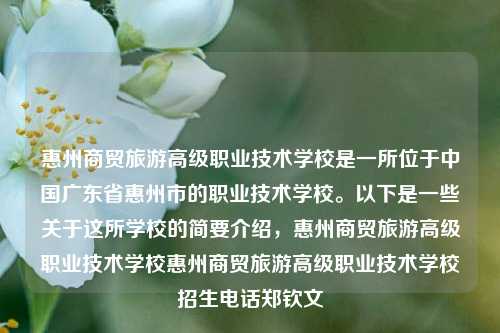 惠州商贸旅游高级职业技术学校是一所位于中国广东省惠州市的职业技术学校。以下是一些关于这所学校的简要介绍，惠州商贸旅游高级职业技术学校惠州商贸旅游高级职业技术学校招生电话郑钦文