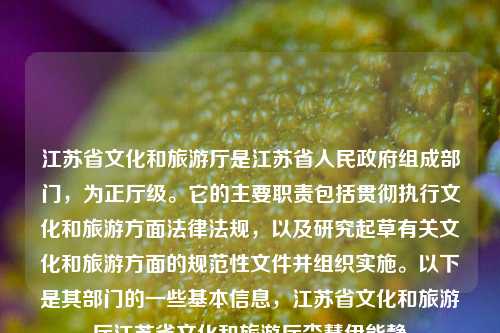 江苏省文化和旅游厅是江苏省人民政府组成部门，为正厅级。它的主要职责包括贯彻执行文化和旅游方面法律法规，以及研究起草有关文化和旅游方面的规范性文件并组织实施。以下是其部门的一些基本信息，江苏省文化和旅游厅江苏省文化和旅游厅李慧伊能静