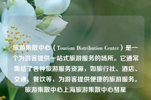 旅游集散中心（Tourism Distribution Center）是一个为游客提供一站式旅游服务的场所。它通常集结了各种旅游服务资源，如旅行社、酒店、交通、餐饮等，为游客提供便捷的旅游服务。旅游集散中心上海旅游集散中心彗星