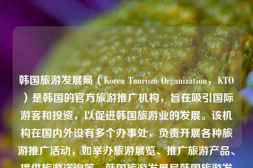 韩国旅游发展局（Korea Tourism Organization，KTO）是韩国的官方旅游推广机构，旨在吸引国际游客和投资，以促进韩国旅游业的发展。该机构在国内外设有多个办事处，负责开展各种旅游推广活动，如举办旅游展览、推广旅游产品、提供旅游咨询等。韩国旅游发展局韩国旅游发展局成都办事处高德