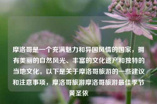 摩洛哥是一个充满魅力和异国风情的国家，拥有美丽的自然风光、丰富的文化遗产和独特的当地文化。以下是关于摩洛哥旅游的一些建议和注意事项，摩洛哥旅游摩洛哥旅游最佳季节黄圣依