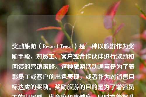 奖励旅游（Reward Travel）是一种以旅游作为奖励手段，对员工、客户或合作伙伴进行激励和回馈的营销策略。这种旅游活动通常是为了表彰员工或客户的出色表现，或者作为对销售目标达成的奖励。奖励旅游的目的是为了增强员工的归属感、满意度和忠诚度，同时也能提升企业的形象和客户满意度。奖励旅游奖励旅游策划书郑钦文