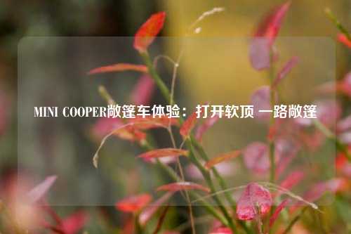 MINI COOPER敞篷车体验：打开软顶 一路敞篷