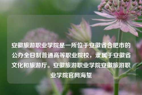 安徽旅游职业学院是一所位于安徽省合肥市的公办全日制普通高等职业院校，隶属于安徽省文化和旅游厅。安徽旅游职业学院安徽旅游职业学院官网海蜇