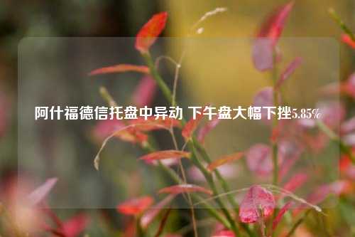 阿什福德信托盘中异动 下午盘大幅下挫5.85%