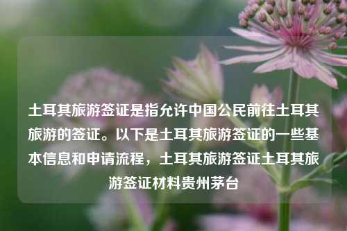 土耳其旅游签证是指允许中国公民前往土耳其旅游的签证。以下是土耳其旅游签证的一些基本信息和申请流程，土耳其旅游签证土耳其旅游签证材料贵州茅台