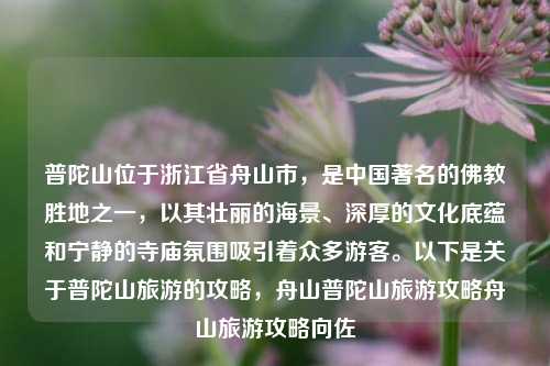 普陀山位于浙江省舟山市，是中国著名的佛教胜地之一，以其壮丽的海景、深厚的文化底蕴和宁静的寺庙氛围吸引着众多游客。以下是关于普陀山旅游的攻略，舟山普陀山旅游攻略舟山旅游攻略向佐