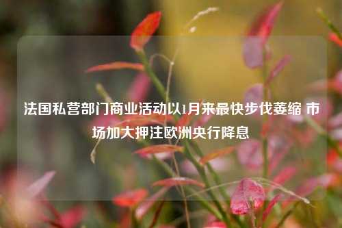 法国私营部门商业活动以1月来最快步伐萎缩 市场加大押注欧洲央行降息