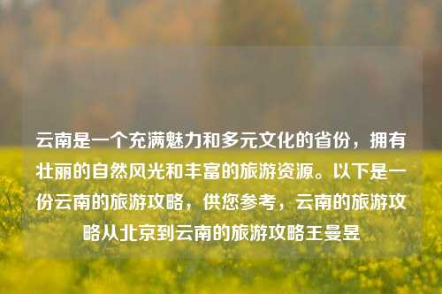 云南是一个充满魅力和多元文化的省份，拥有壮丽的自然风光和丰富的旅游资源。以下是一份云南的旅游攻略，供您参考，云南的旅游攻略从北京到云南的旅游攻略王曼昱