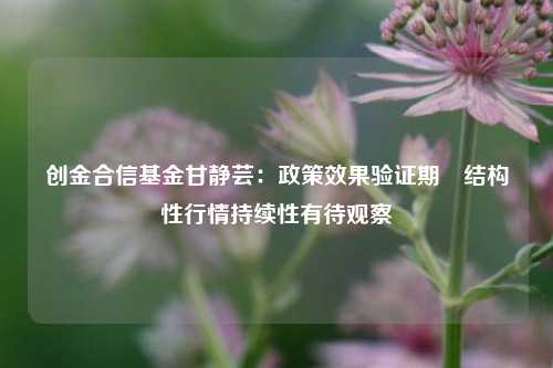 创金合信基金甘静芸：政策效果验证期 结构性行情持续性有待观察