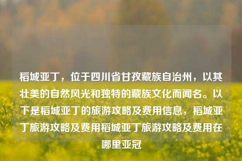 稻城亚丁，位于四川省甘孜藏族自治州，以其壮美的自然风光和独特的藏族文化而闻名。以下是稻城亚丁的旅游攻略及费用信息，稻城亚丁旅游攻略及费用稻城亚丁旅游攻略及费用在哪里亚冠