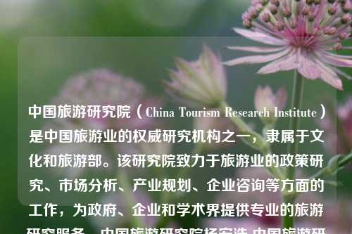 中国旅游研究院（China Tourism Research Institute）是中国旅游业的权威研究机构之一，隶属于文化和旅游部。该研究院致力于旅游业的政策研究、市场分析、产业规划、企业咨询等方面的工作，为政府、企业和学术界提供专业的旅游研究服务。中国旅游研究院杨宏浩 中国旅游研究院科大讯飞