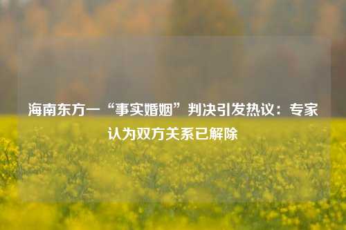 海南东方一“事实婚姻”判决引发热议：专家认为双方关系已解除