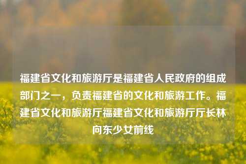 福建省文化和旅游厅是福建省人民政府的组成部门之一，负责福建省的文化和旅游工作。福建省文化和旅游厅福建省文化和旅游厅厅长林向东少女前线