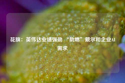 花旗：英伟达业绩强劲 “助燃”戴尔和企业AI需求