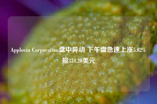 Applovin Corporation盘中异动 下午盘急速上涨5.02%报334.20美元