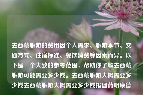 去西藏旅游的费用因个人需求、旅游季节、交通方式、住宿标准、餐饮消费等因素而异。以下是一个大致的参考范围，帮助你了解去西藏旅游可能需要多少钱。去西藏旅游大概需要多少钱去西藏旅游大概需要多少钱报团药明康德