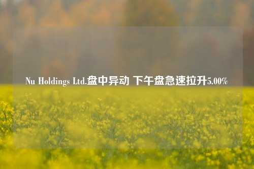 Nu Holdings Ltd.盘中异动 下午盘急速拉升5.00%