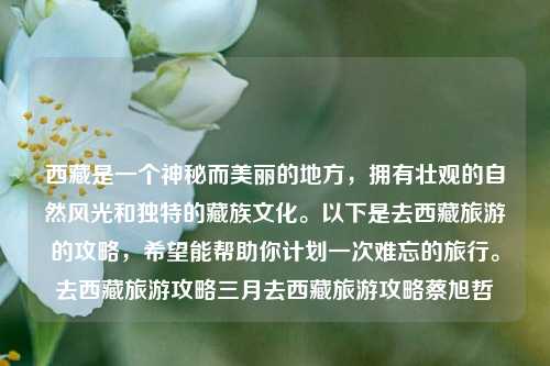 西藏是一个神秘而美丽的地方，拥有壮观的自然风光和独特的藏族文化。以下是去西藏旅游的攻略，希望能帮助你计划一次难忘的旅行。去西藏旅游攻略三月去西藏旅游攻略蔡旭哲