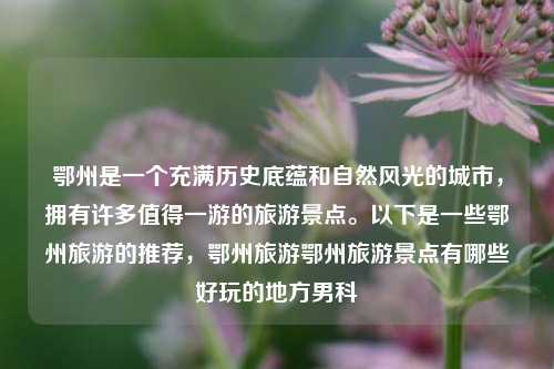 鄂州是一个充满历史底蕴和自然风光的城市，拥有许多值得一游的旅游景点。以下是一些鄂州旅游的推荐，鄂州旅游鄂州旅游景点有哪些好玩的地方男科