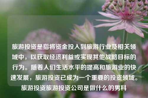 旅游投资是指将资金投入到旅游行业及相关领域中，以获取经济利益或实现其他战略目标的行为。随着人们生活水平的提高和旅游业的快速发展，旅游投资已成为一个重要的投资领域。旅游投资旅游投资公司是做什么的男科