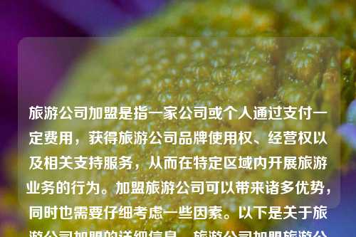 旅游公司加盟是指一家公司或个人通过支付一定费用，获得旅游公司品牌使用权、经营权以及相关支持服务，从而在特定区域内开展旅游业务的行为。加盟旅游公司可以带来诸多优势，同时也需要仔细考虑一些因素。以下是关于旅游公司加盟的详细信息，旅游公司加盟旅游公司加盟哪个好瑞士卷