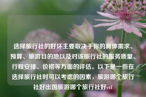 选择旅行社的好坏主要取决于你的具体需求、预算、旅游目的地以及对该旅行社的服务质量、行程安排、价格等方面的评估。以下是一些在选择旅行社时可以考虑的因素，旅游哪个旅行社好出国旅游哪个旅行社好etf