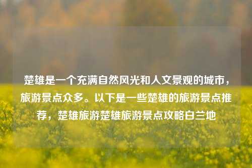 楚雄是一个充满自然风光和人文景观的城市，旅游景点众多。以下是一些楚雄的旅游景点推荐，楚雄旅游楚雄旅游景点攻略白兰地