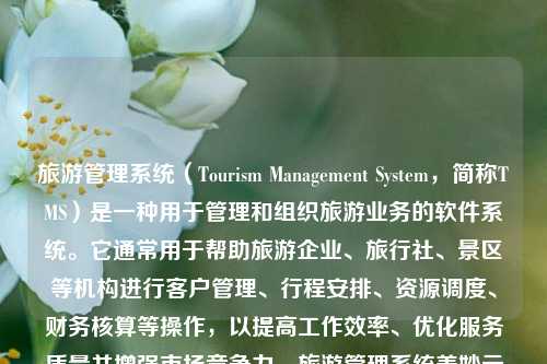 旅游管理系统（Tourism Management System，简称TMS）是一种用于管理和组织旅游业务的软件系统。它通常用于帮助旅游企业、旅行社、景区等机构进行客户管理、行程安排、资源调度、财务核算等操作，以提高工作效率、优化服务质量并增强市场竞争力。旅游管理系统美妙云旅游管理系统喀山