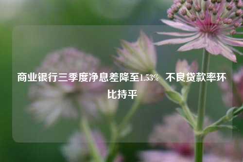 商业银行三季度净息差降至1.53%  不良贷款率环比持平