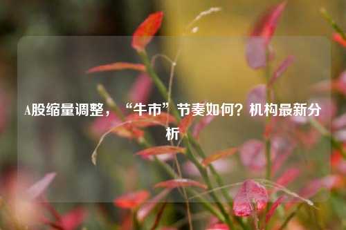 A股缩量调整，“牛市”节奏如何？机构最新分析