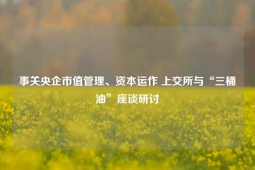 事关央企市值管理、资本运作 上交所与“三桶油”座谈研讨