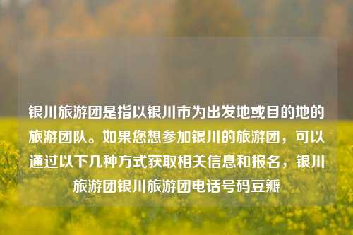 银川旅游团是指以银川市为出发地或目的地的旅游团队。如果您想参加银川的旅游团，可以通过以下几种方式获取相关信息和报名，银川旅游团银川旅游团电话号码豆瓣