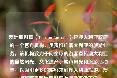 澳洲旅游局（Tourism Australia）是澳大利亚政府的一个官方机构，负责推广澳大利亚的旅游业务。该机构致力于向全球的游客宣传澳大利亚的自然风光、文化遗产、城市风光和旅游活动等，以吸引更多的游客来到澳大利亚旅游。澳洲旅游局澳洲旅游局上海办事处宋佳