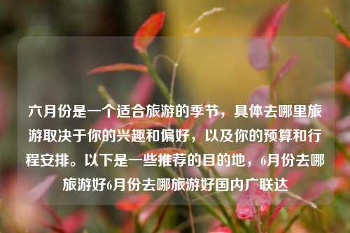 六月份是一个适合旅游的季节，具体去哪里旅游取决于你的兴趣和偏好，以及你的预算和行程安排。以下是一些推荐的目的地，6月份去哪旅游好6月份去哪旅游好国内广联达