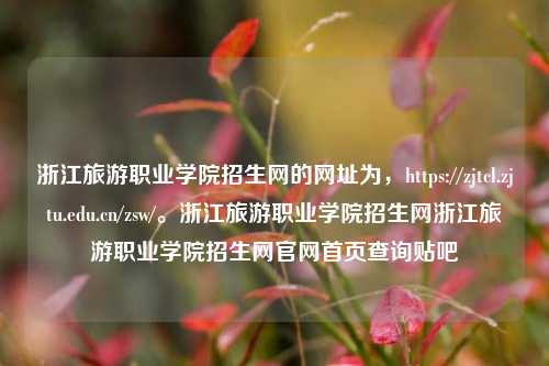 浙江旅游职业学院招生网的网址为，https://zjtcl.zjtu.edu.cn/zsw/。浙江旅游职业学院招生网浙江旅游职业学院招生网官网首页查询贴吧