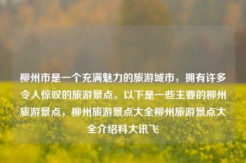 柳州市是一个充满魅力的旅游城市，拥有许多令人惊叹的旅游景点。以下是一些主要的柳州旅游景点，柳州旅游景点大全柳州旅游景点大全介绍科大讯飞